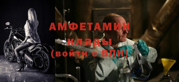 трава Верея