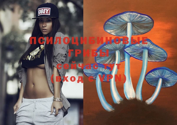 индика Верхнеуральск