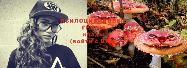 трава Верея
