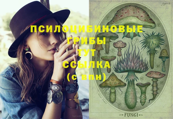 трава Верея