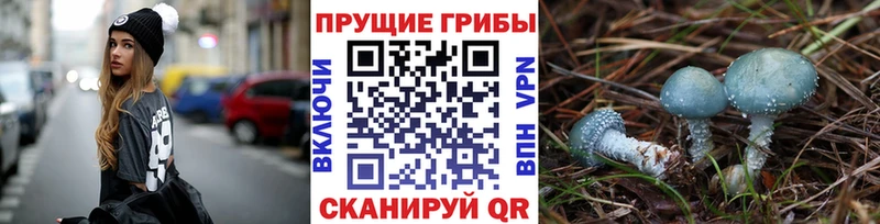 Псилоцибиновые грибы Magic Shrooms  Южа 